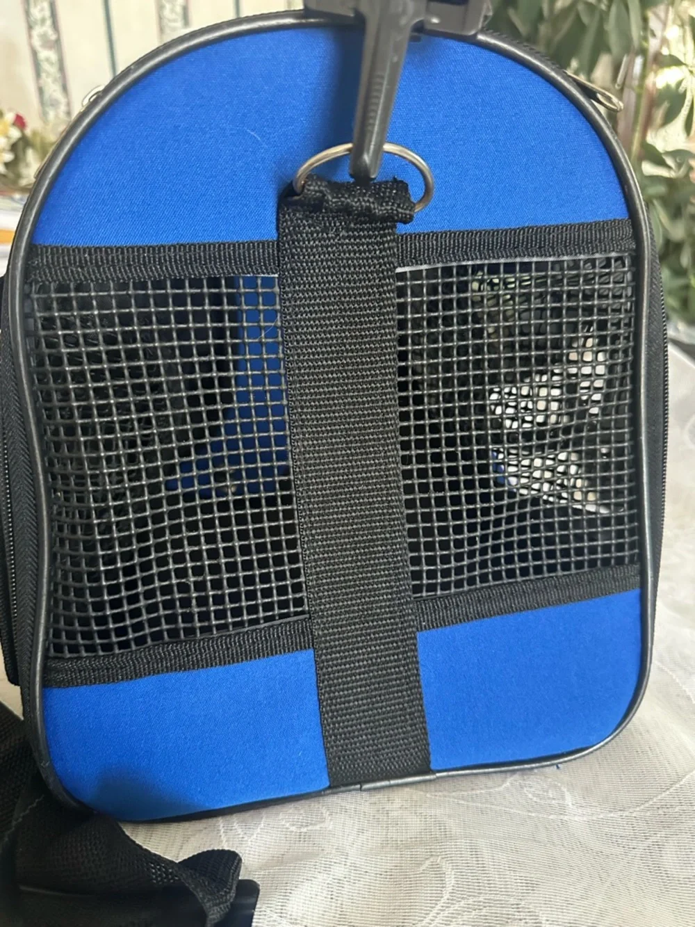 Blue and Black pet Travel carrier